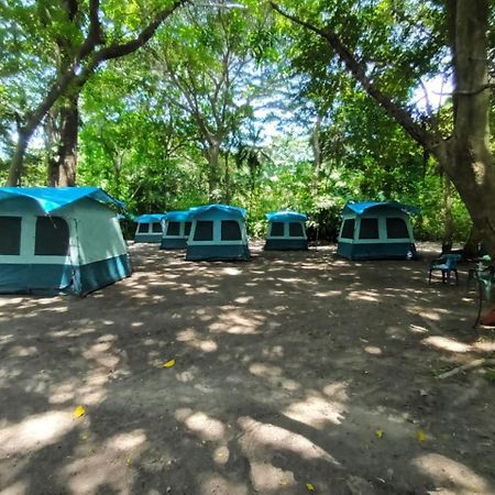 Happy Camping Arrecifes Dentro Del Parque Nacional Natural Tayrona El Coquito Kültér fotó