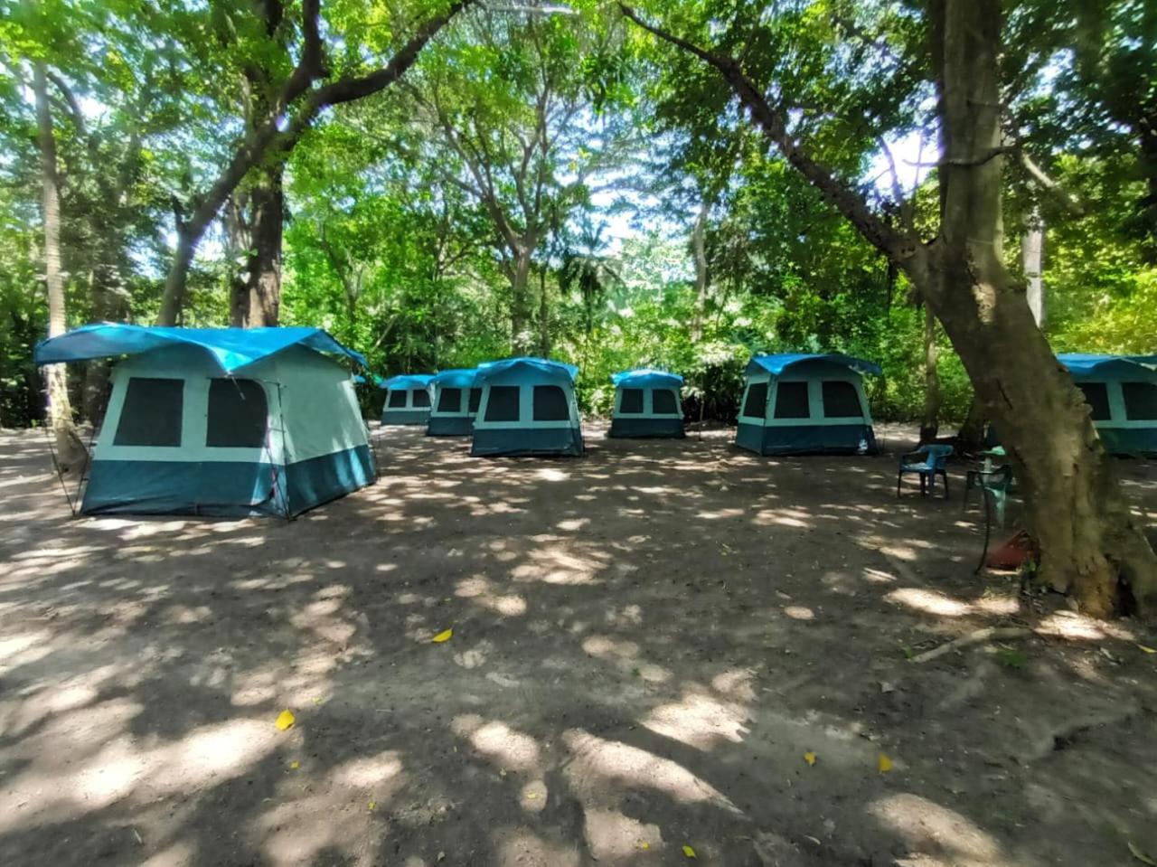 Happy Camping Arrecifes Dentro Del Parque Nacional Natural Tayrona El Coquito Kültér fotó
