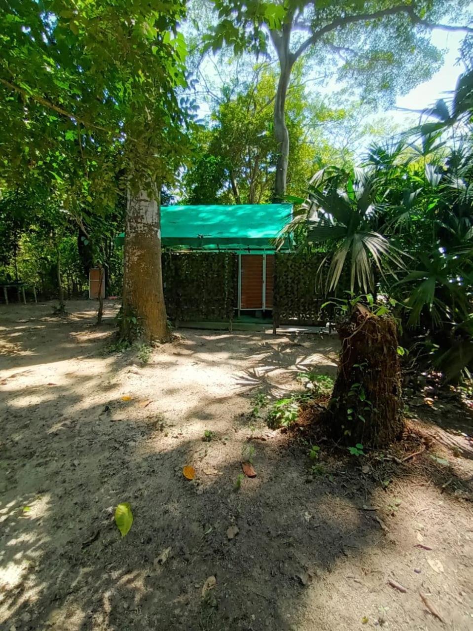 Happy Camping Arrecifes Dentro Del Parque Nacional Natural Tayrona El Coquito Kültér fotó